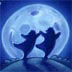 Bears in the moonlight