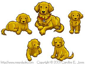 Golden Retrievers are so cute!