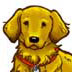 Golden Retrievers are so cute!