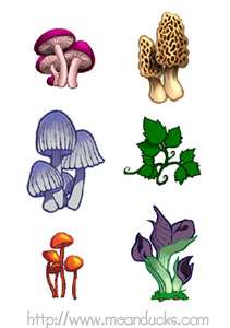 plant designs for scavenger hunt